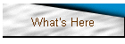 What's Here